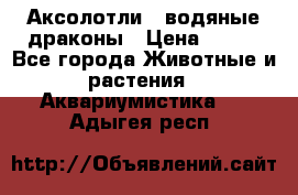 Аксолотли / водяные драконы › Цена ­ 500 - Все города Животные и растения » Аквариумистика   . Адыгея респ.